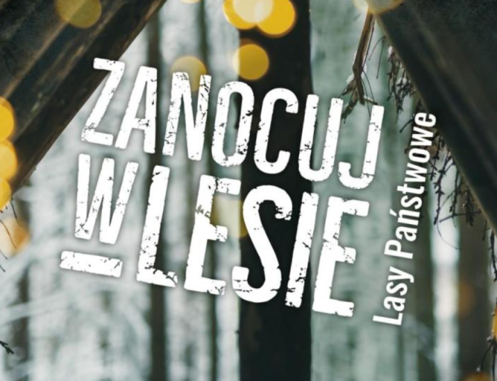 grafika&#x20;programu&#x20;&#x22;Zanocuj&#x20;w&#x20;lesie&#x22;